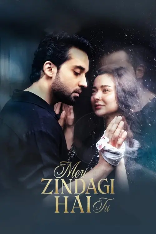 Meri Zindagi Hai Tu ARY Plus drama